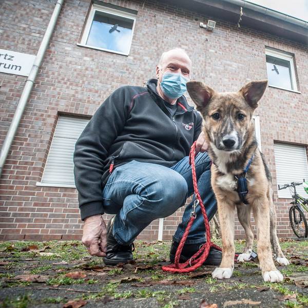 tierheim-welpo-mile--leverkusen_ALF_4941