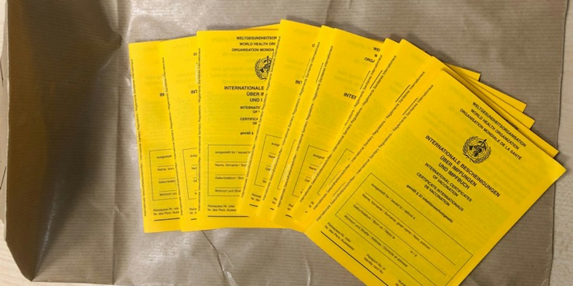 Gefälschte Impfpässe