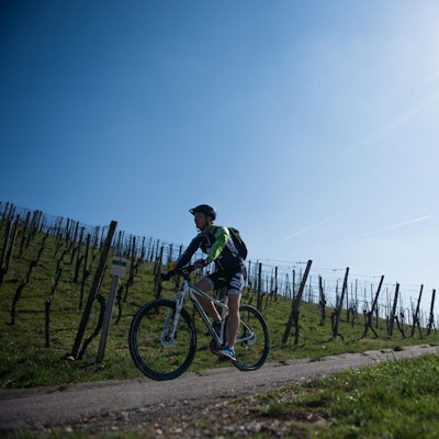 Radtour dpa Lino Mirgeler