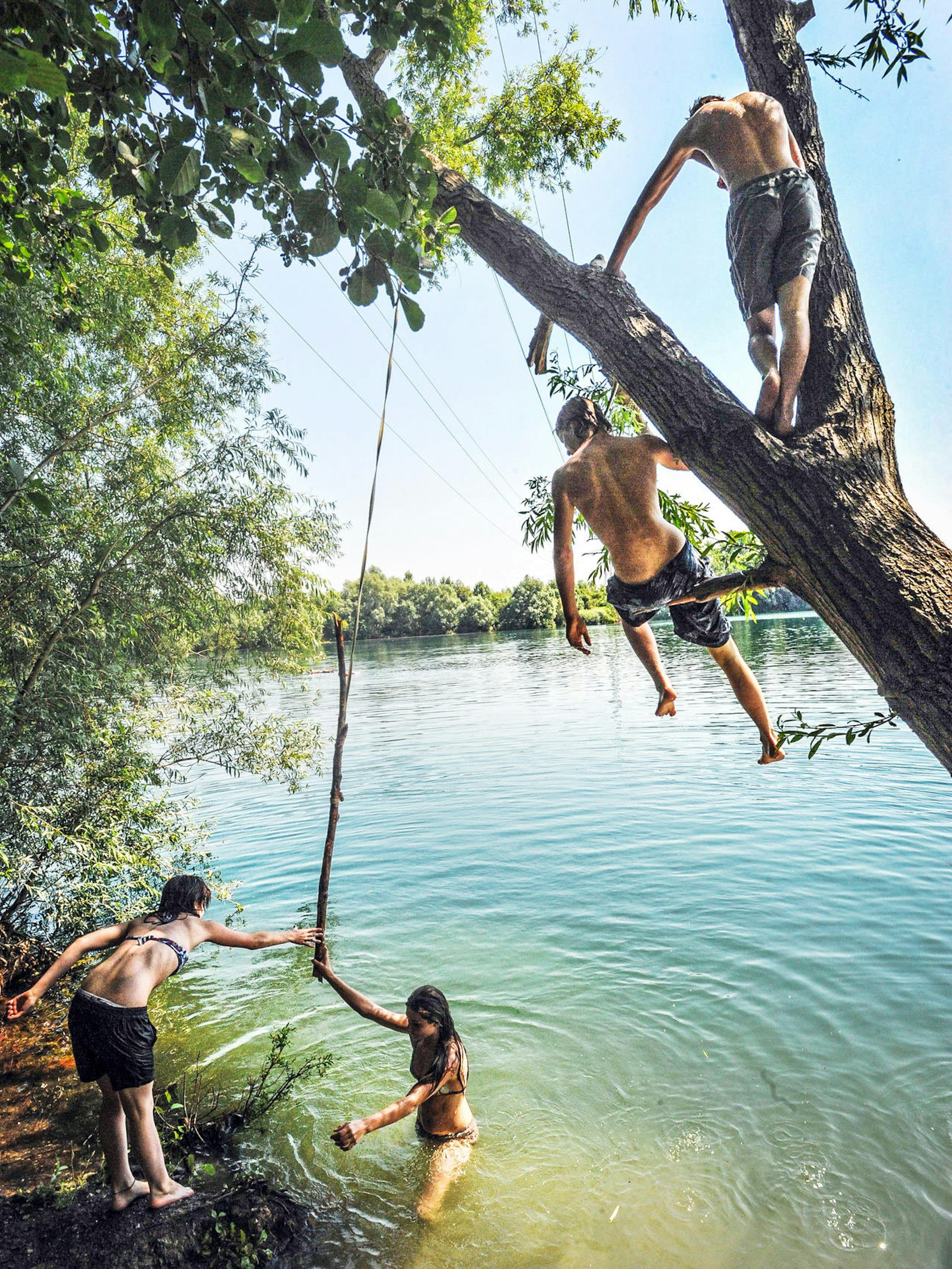 Hitdorfer See Leverkusen 2012