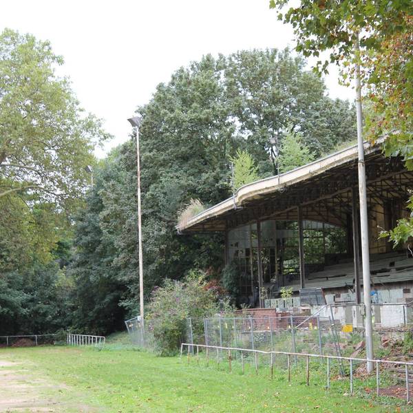 Unkraut wächst auf der alten Tribüne im Grünen.