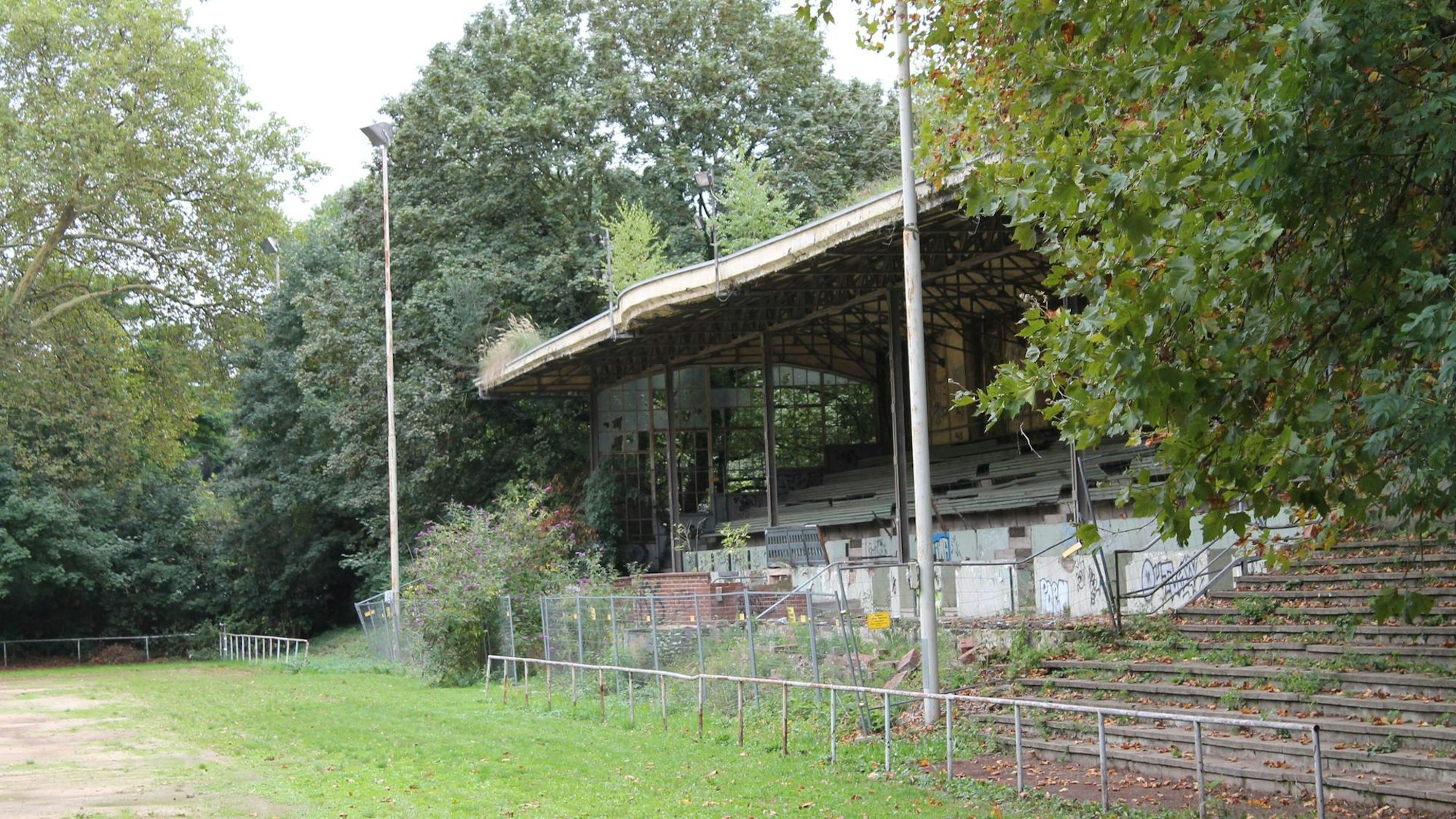 Unkraut wächst auf der alten Tribüne im Grünen.