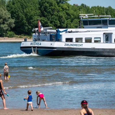 20200601-UWE-Rheinschwimmer-003