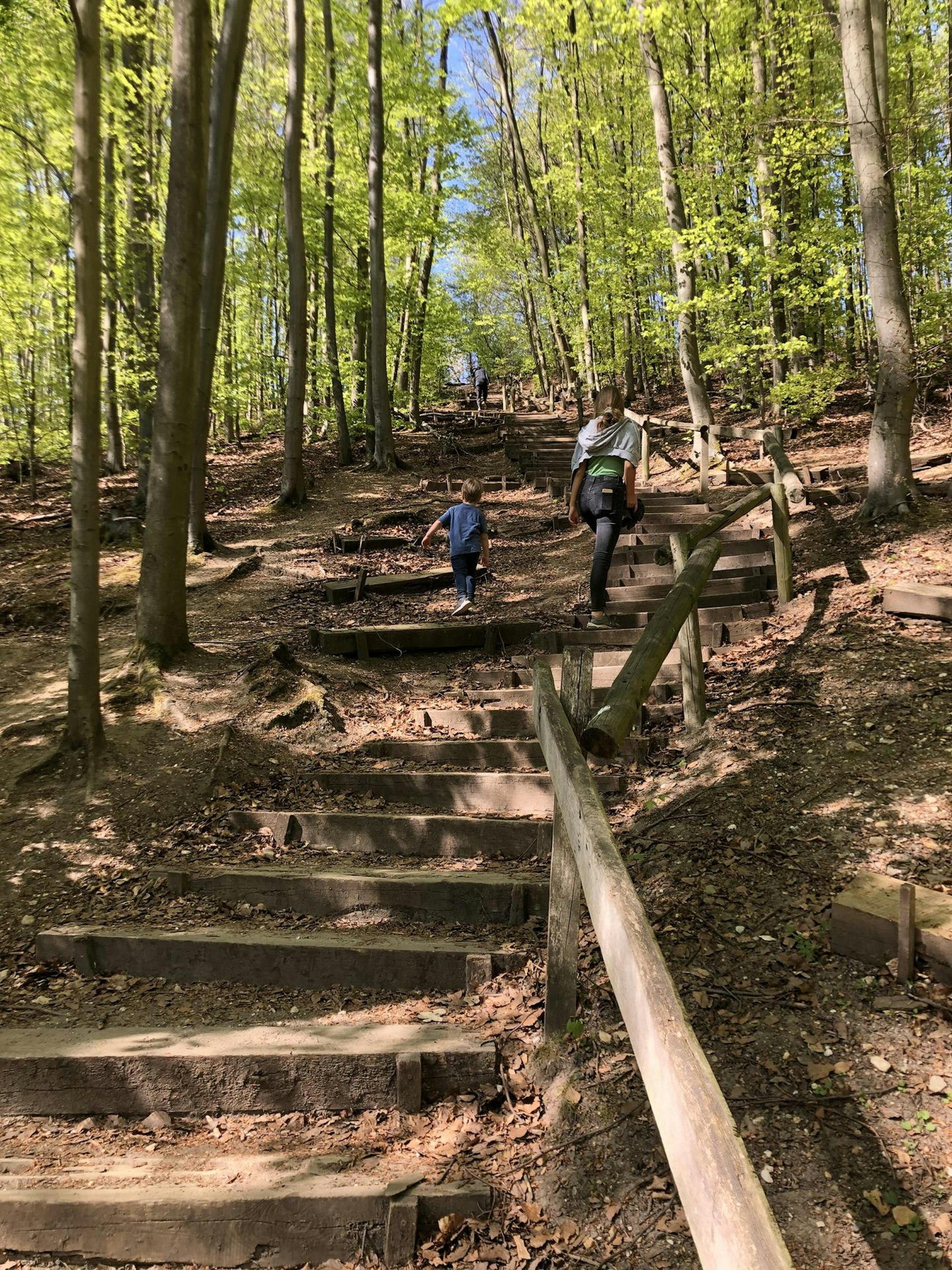Auf der Himmelsleiter 2 mit 220 Stufen_neu