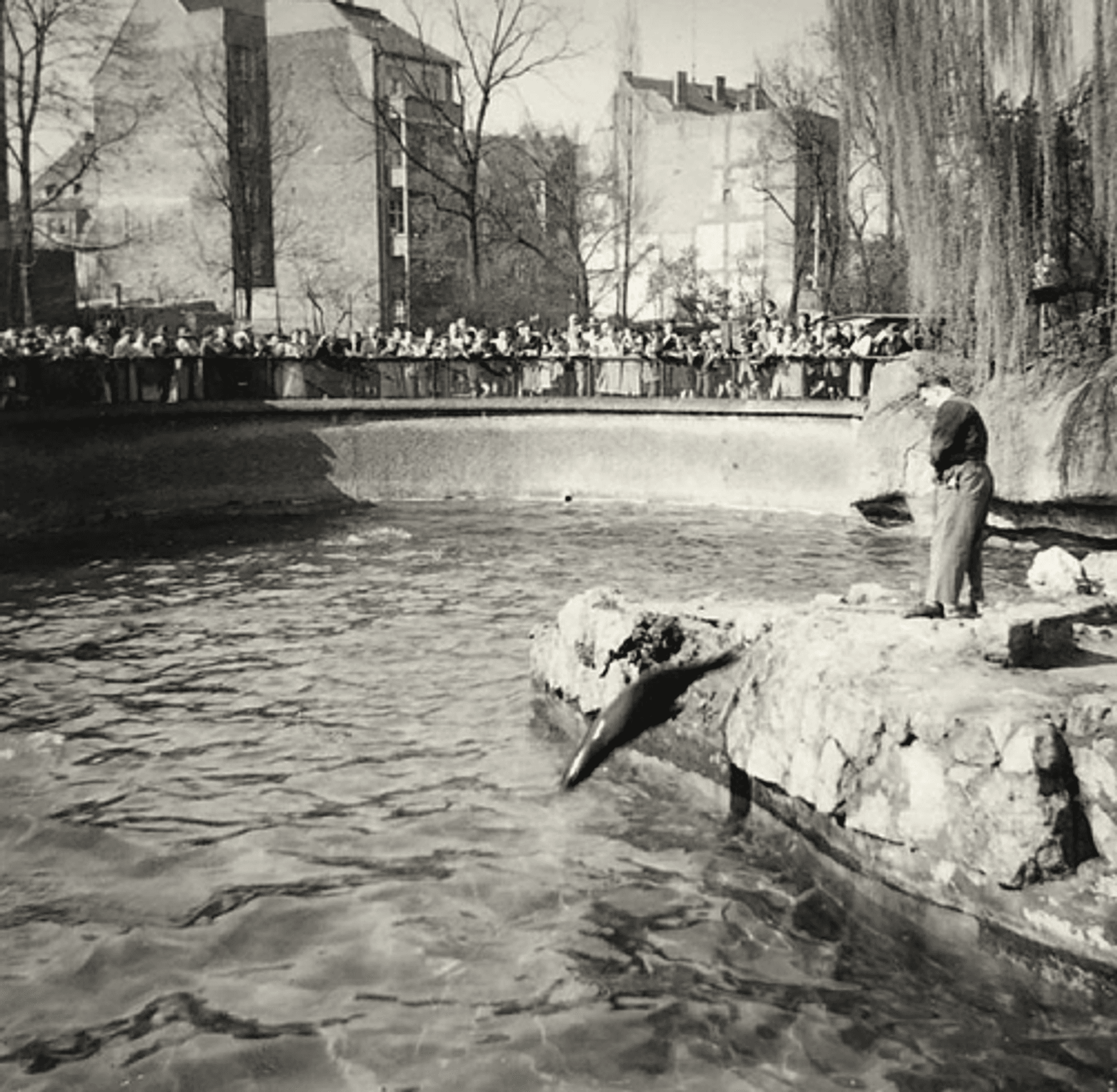 Zoo Robbenbecken mit Ruinen Maggy Engelke