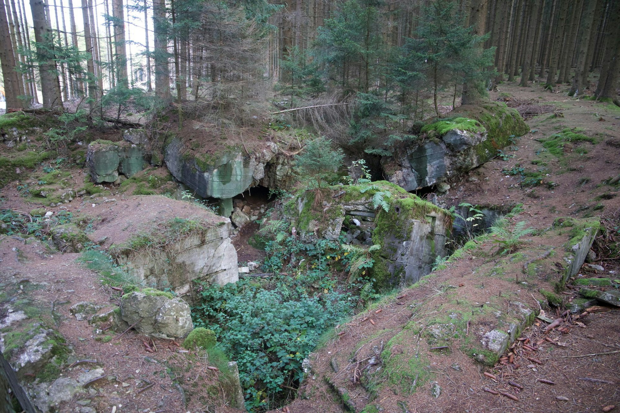 Ochsenkopf_7_Everling