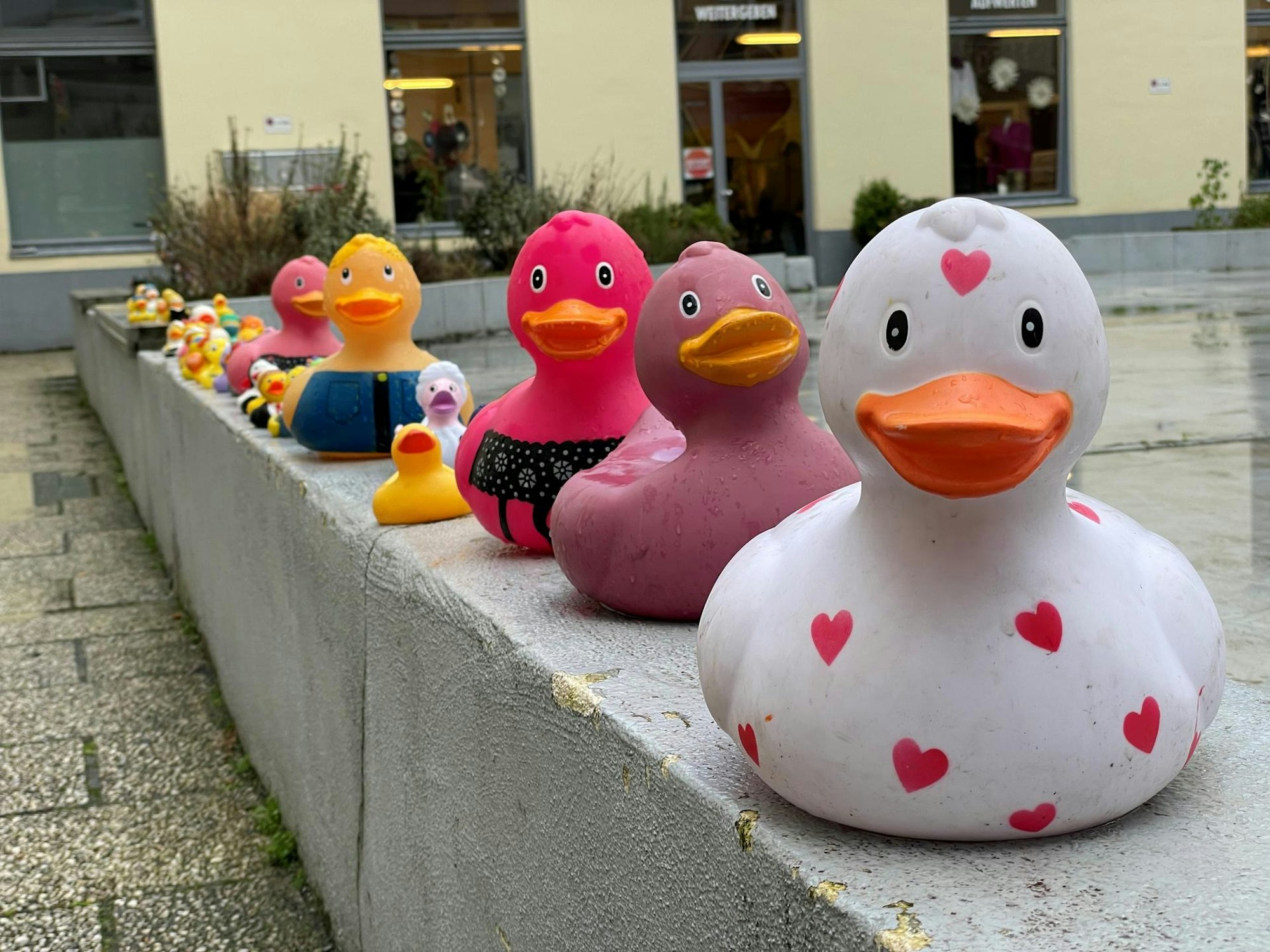 Neuer Inhalt
