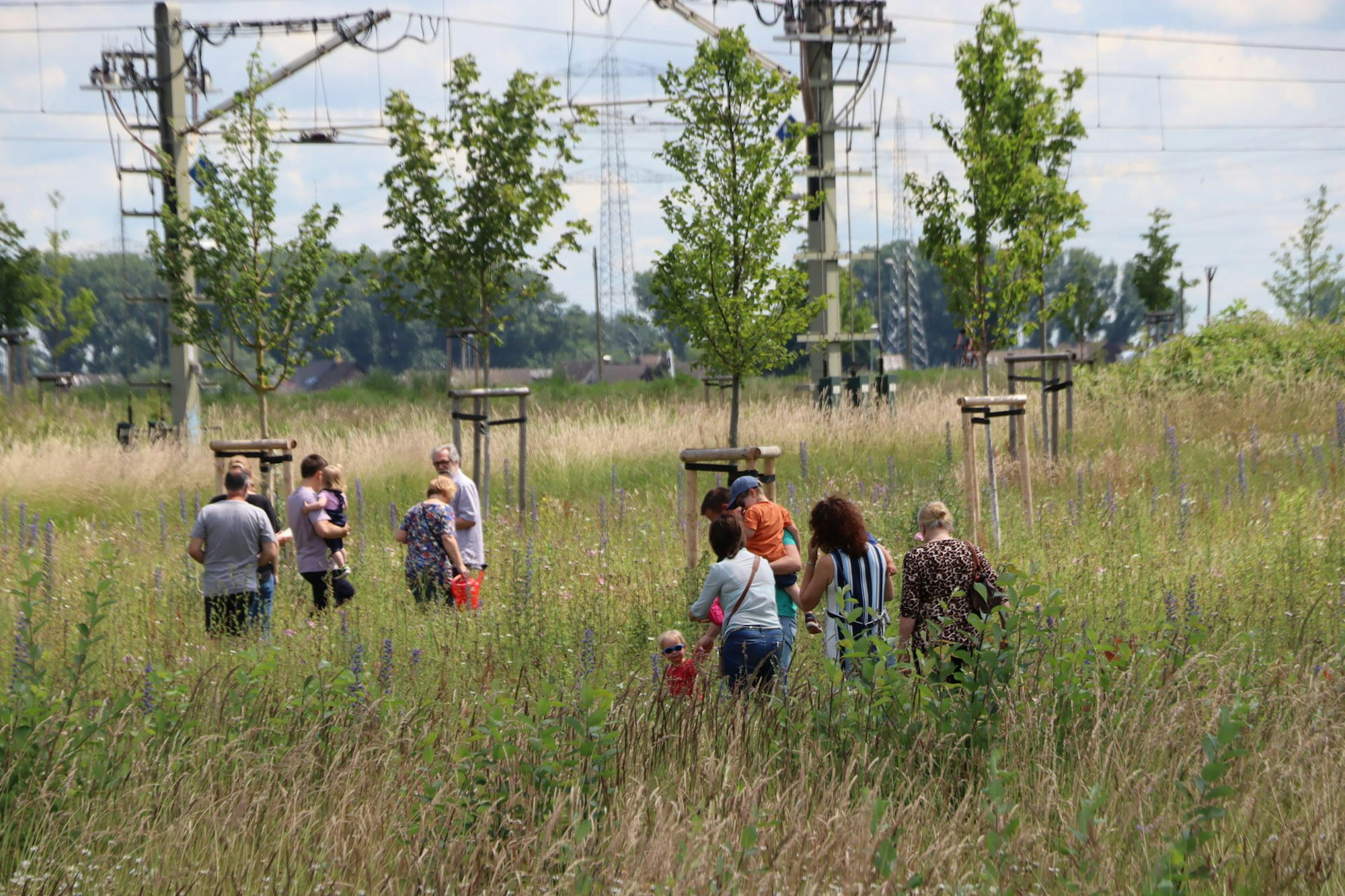 Wesseling-Babypark-Bäume_002