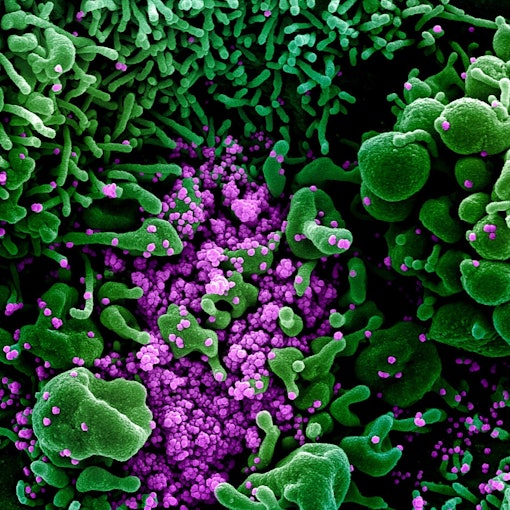 Corona BA 2.75 SYMBOL DPA 130722