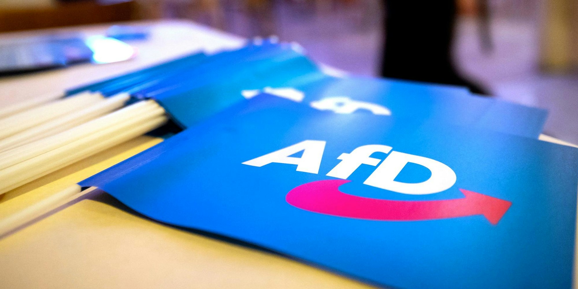 AfD Wirtschaftsstandort
