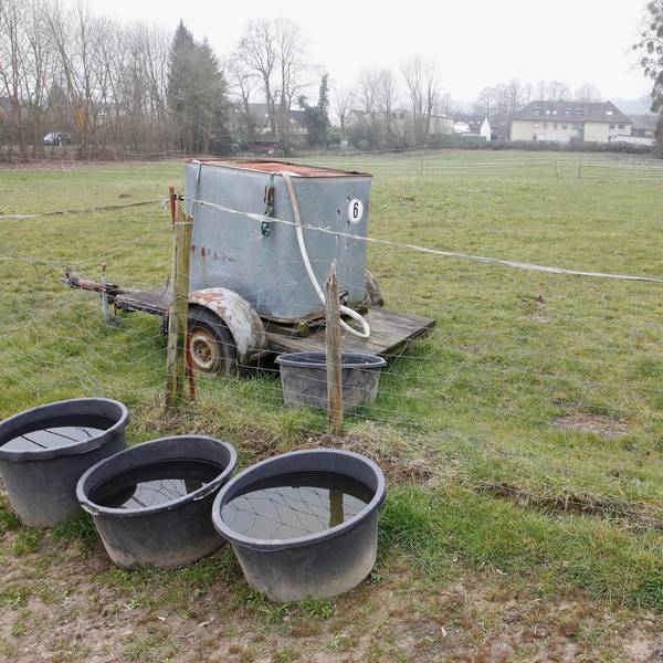 Neuer Inhalt
