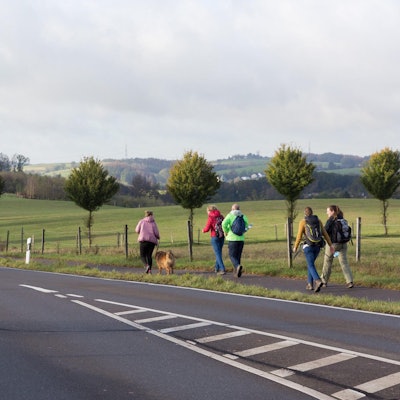 MDS-KR-2020-10-12-71-166015052