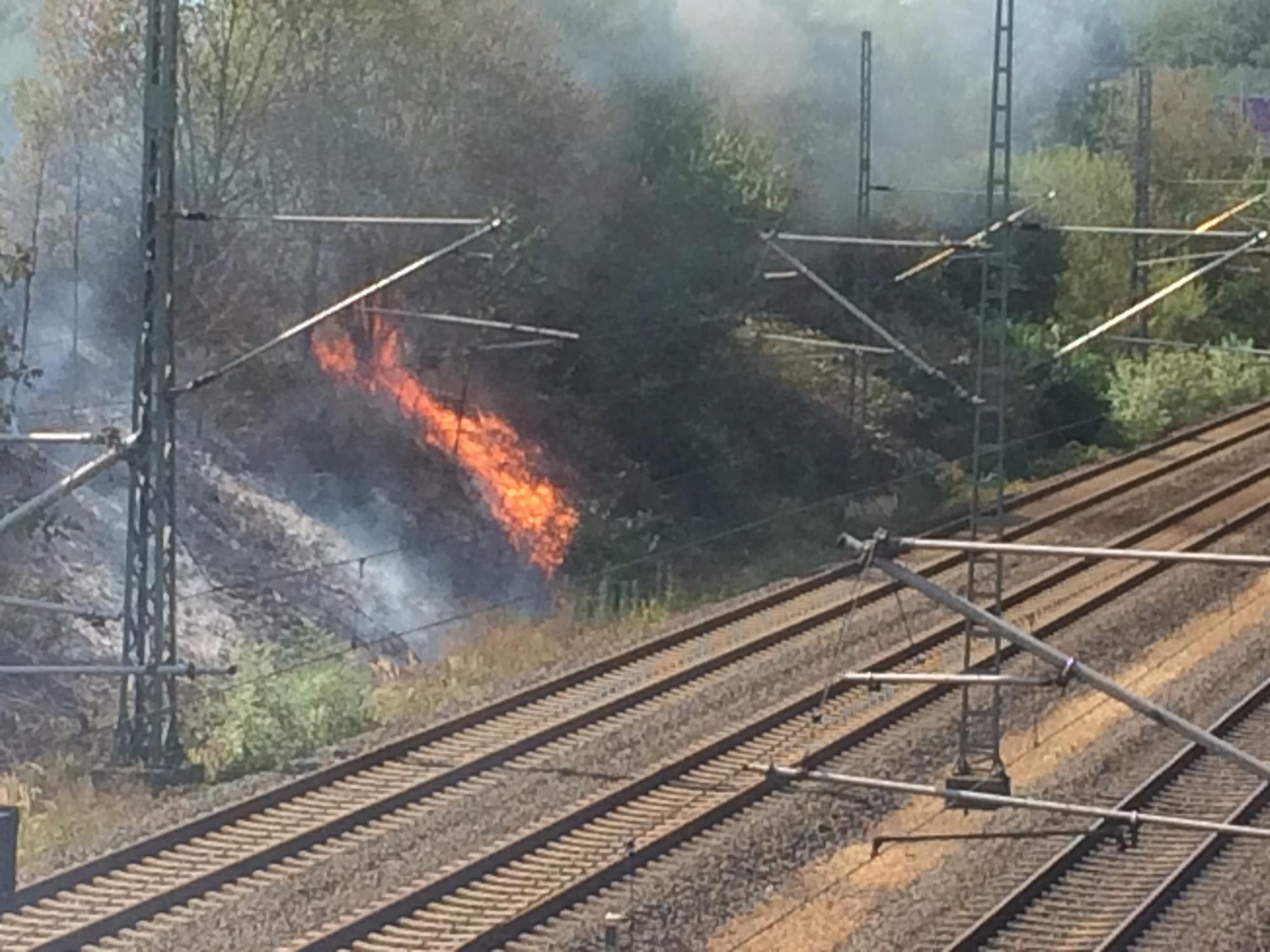 siegburg brand 1