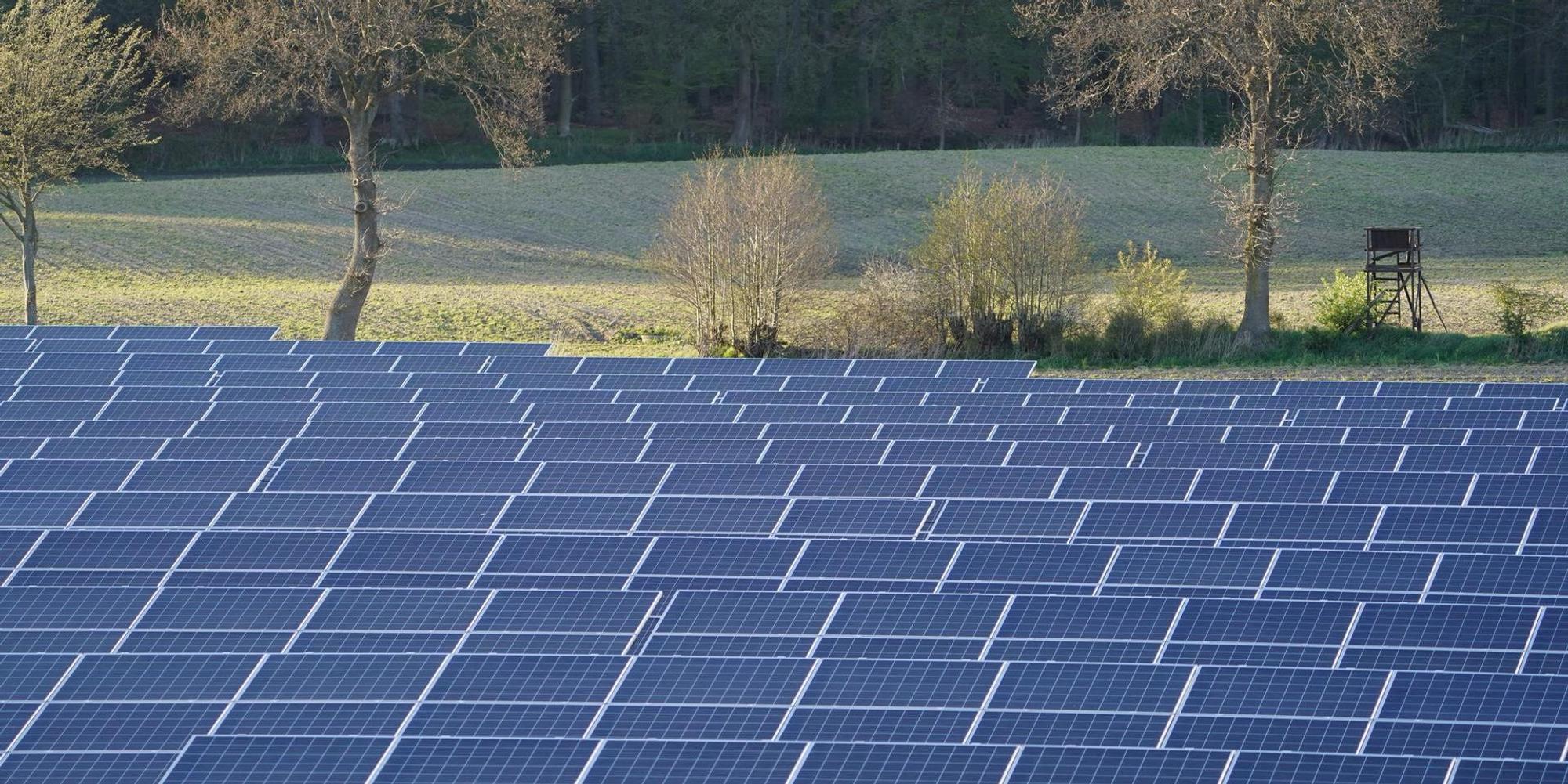 Photovoltaik dpa
