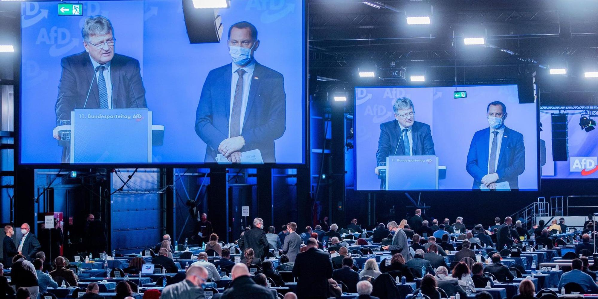 AfD Parteitag 301120