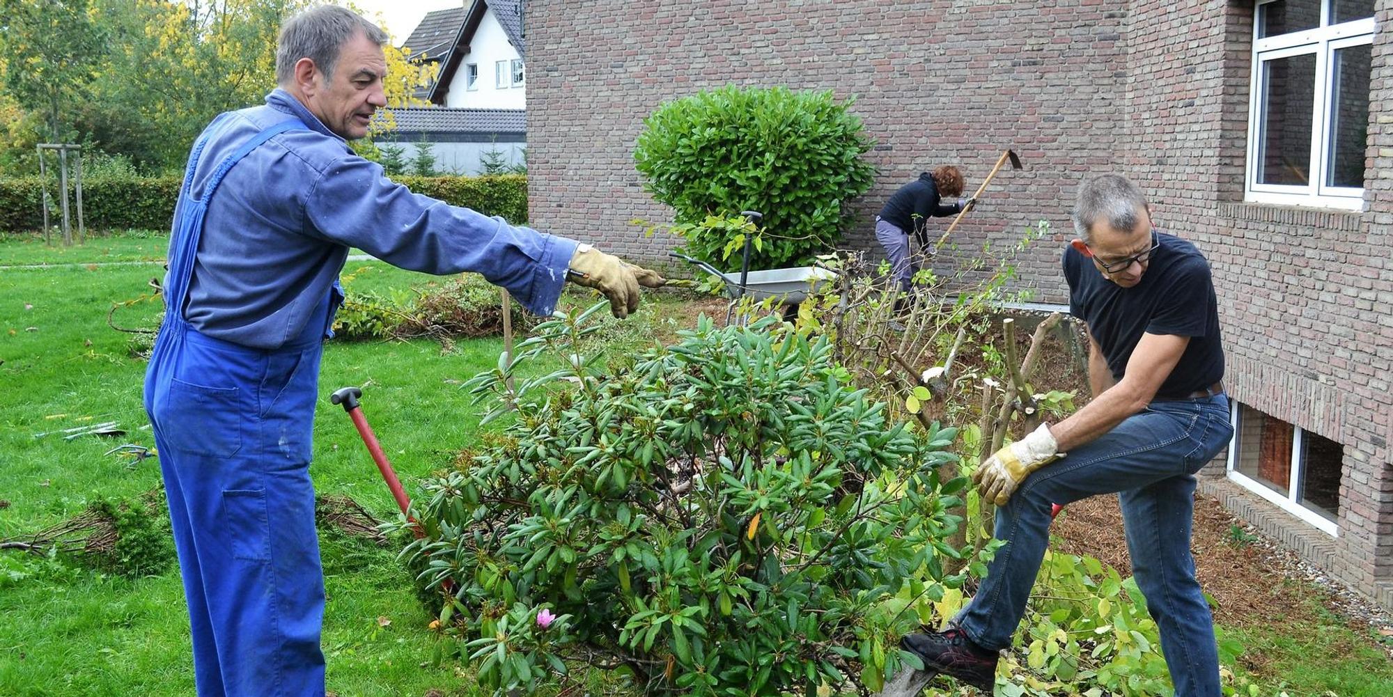 Neuer Inhalt (2)