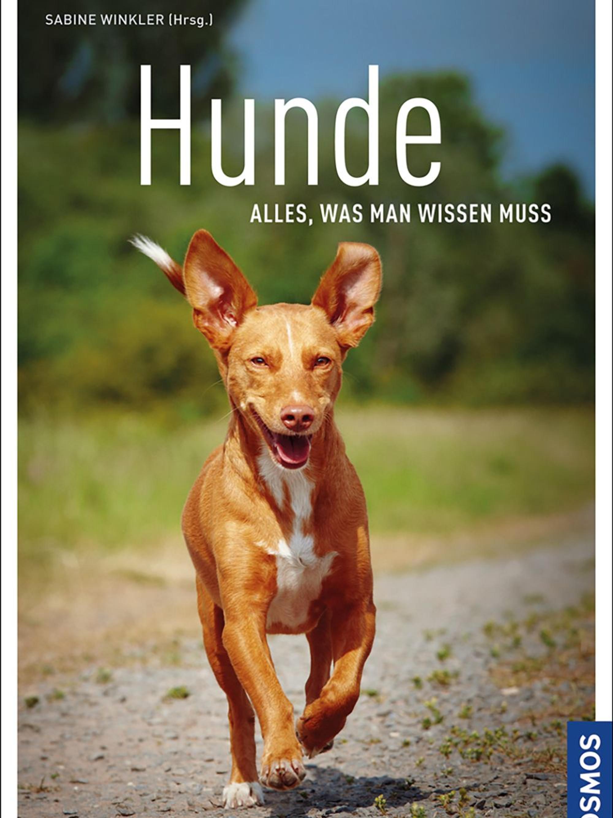 Buch Hunde