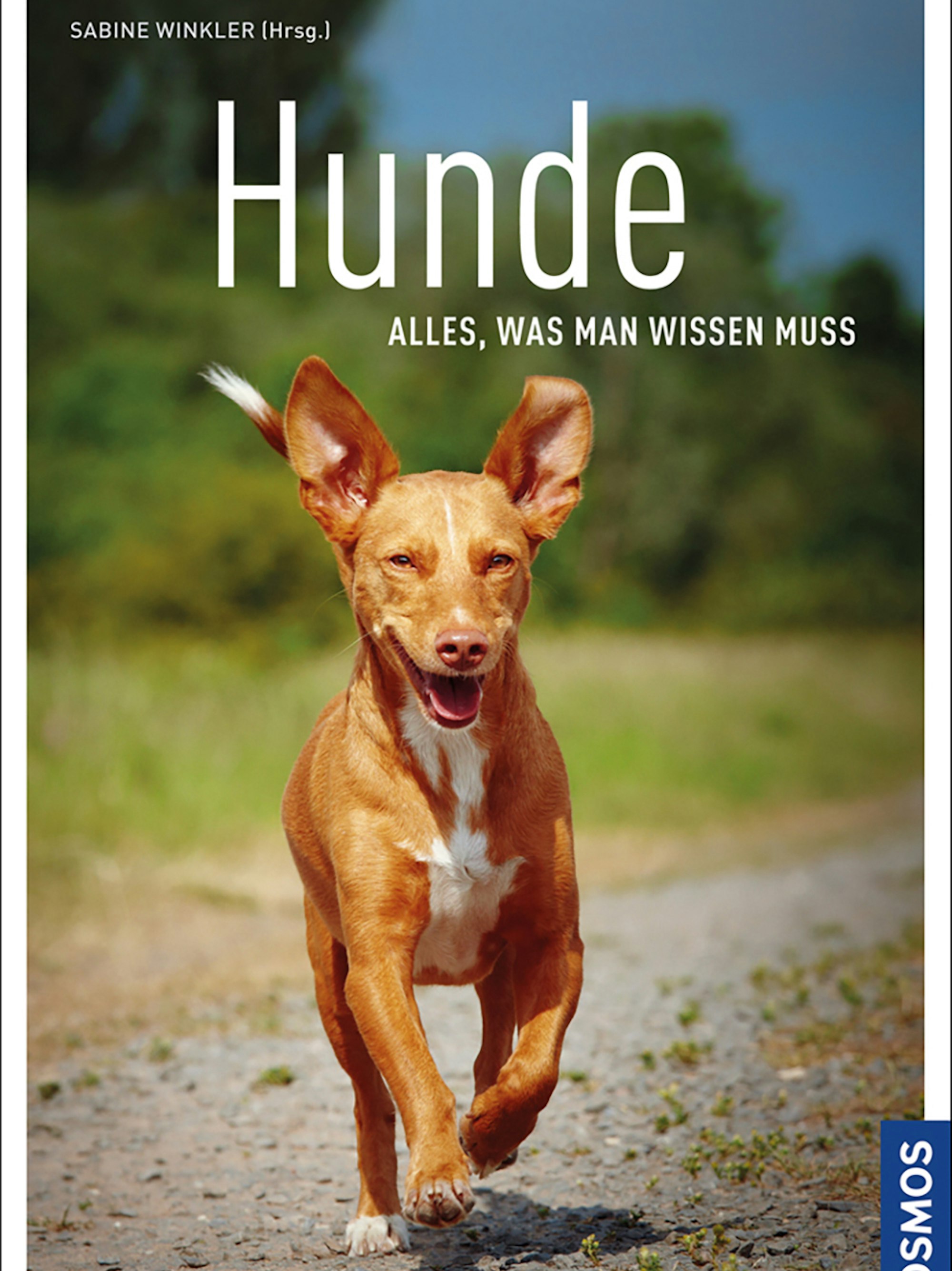 Buch Hunde