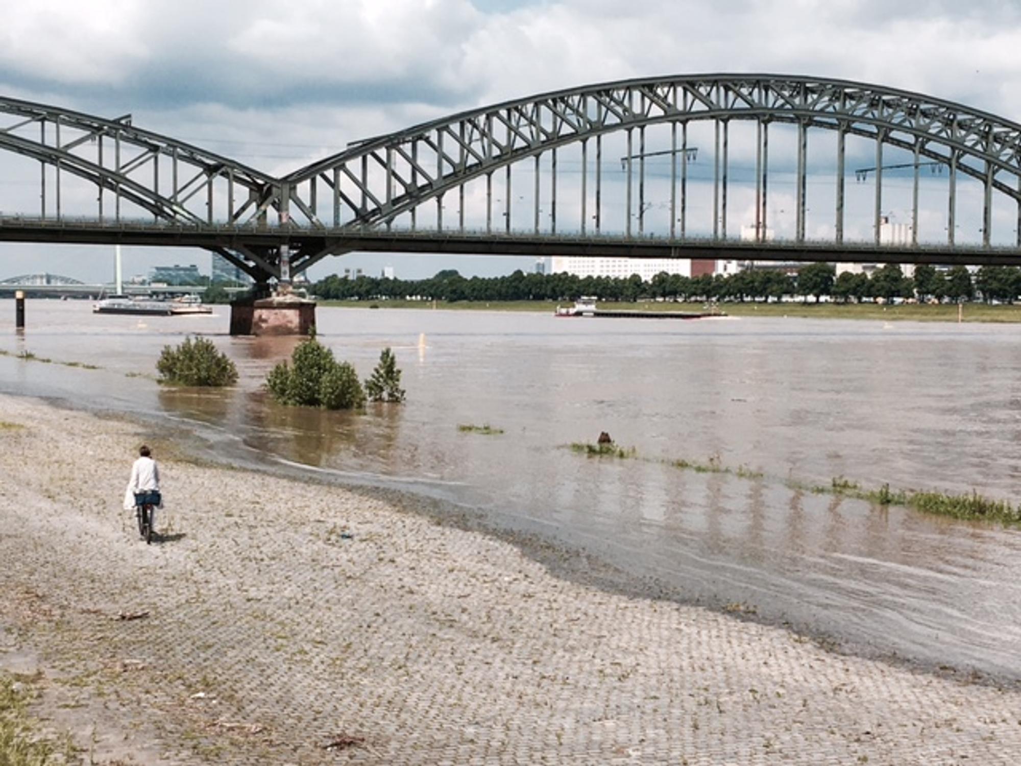 Rhein