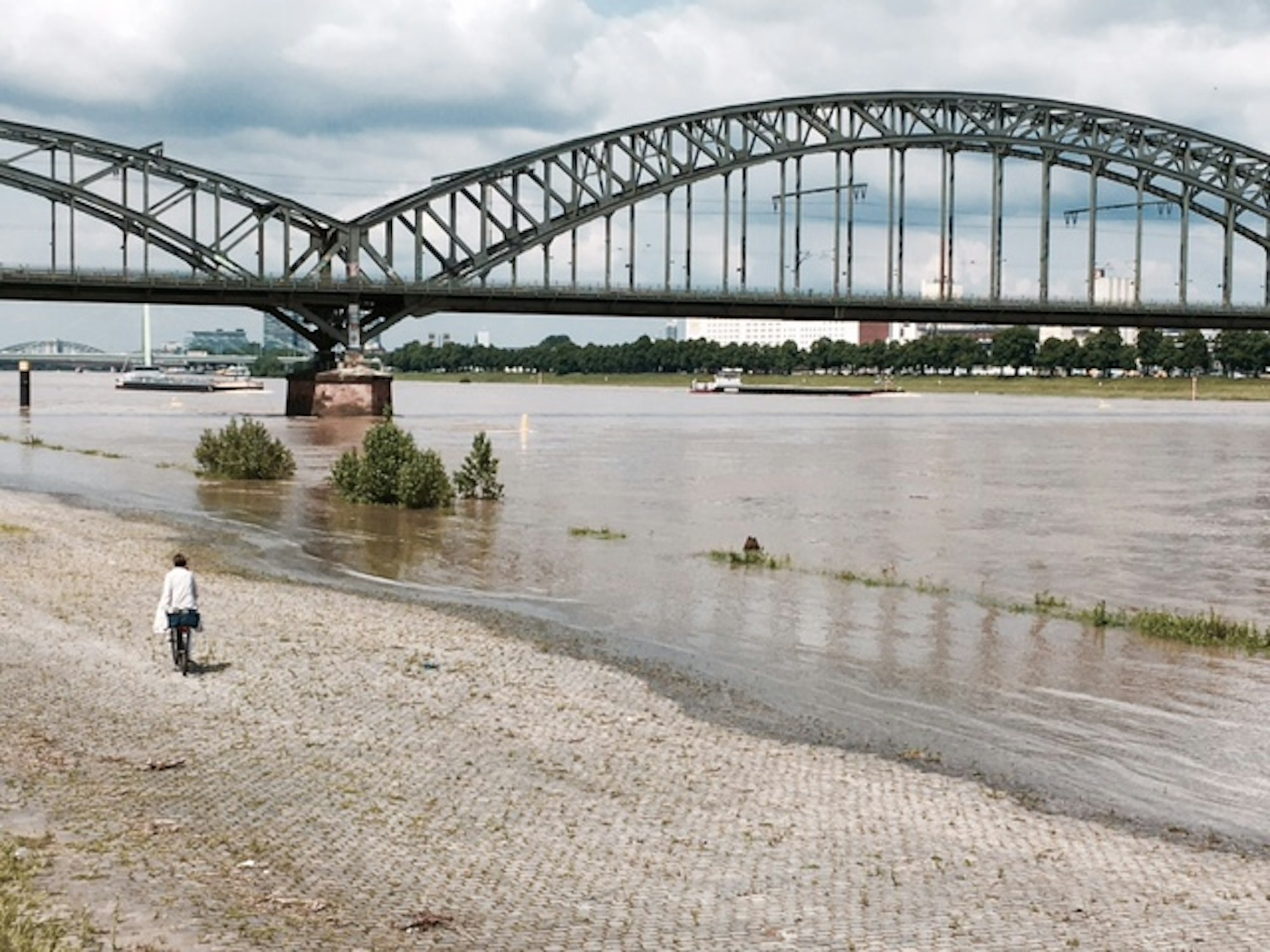 Rhein