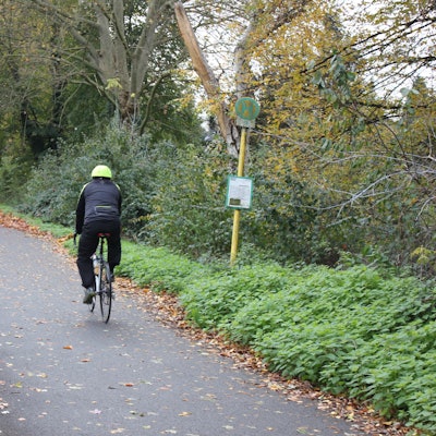 aef-radweg B8-2