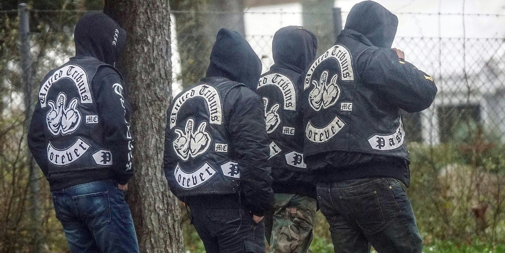 Rocker United Tribuns