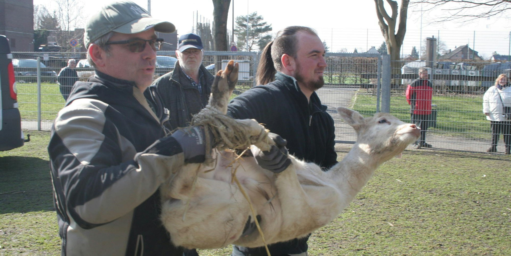 Tierpark Quadrat-Ichendorf2