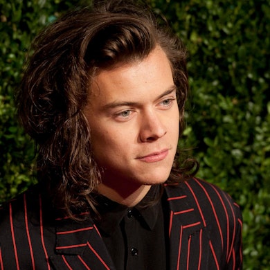 Harry_Styles_66626929