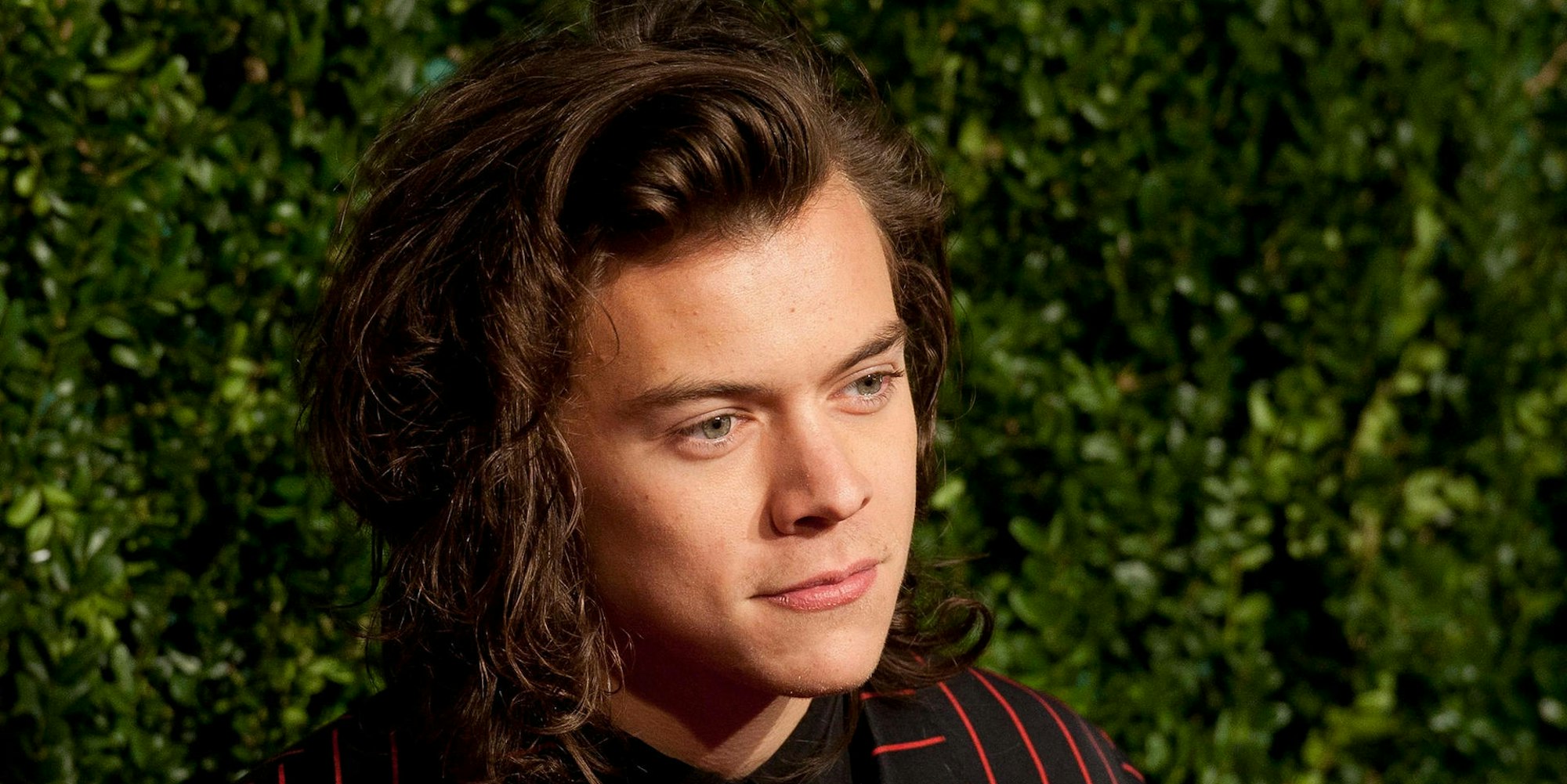 Harry_Styles_66626929