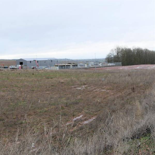 Kall_Gewerbegebiet_3_Feldlerchen