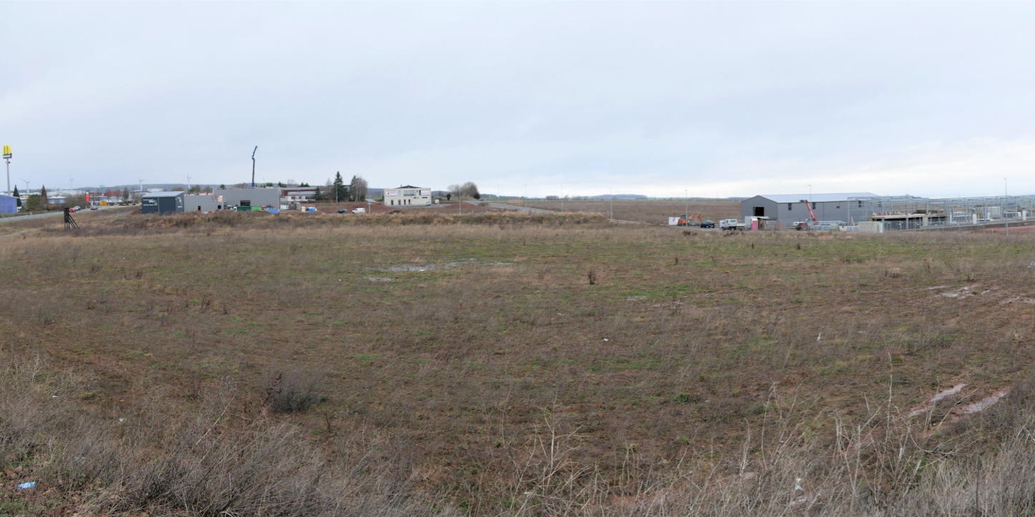 Kall_Gewerbegebiet_3_Feldlerchen