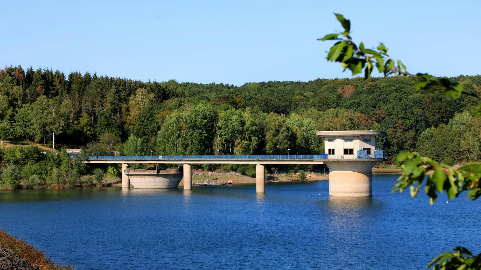 Wald und Wanderwege um die Dhünntalsperre