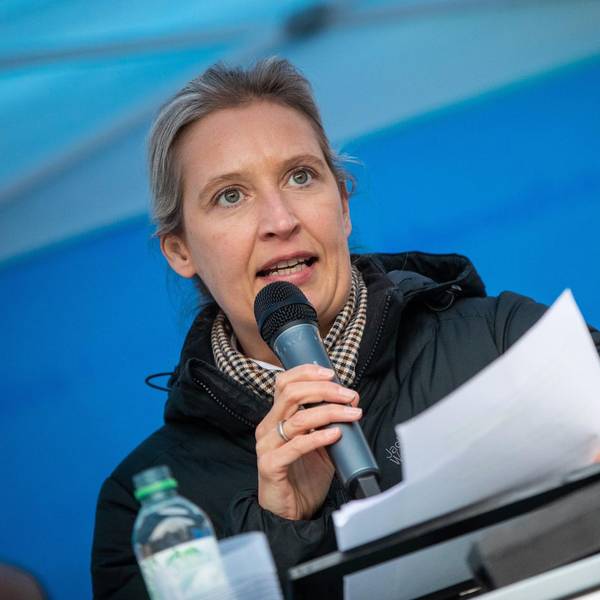 Weidel DPA 020122