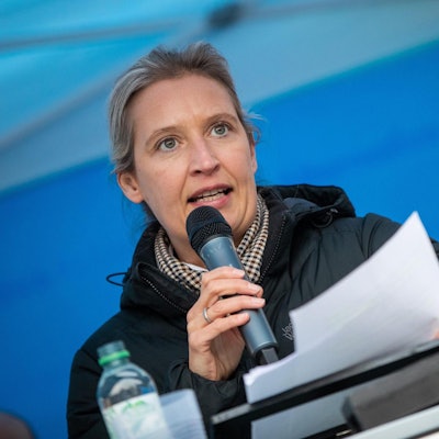 Weidel DPA 020122