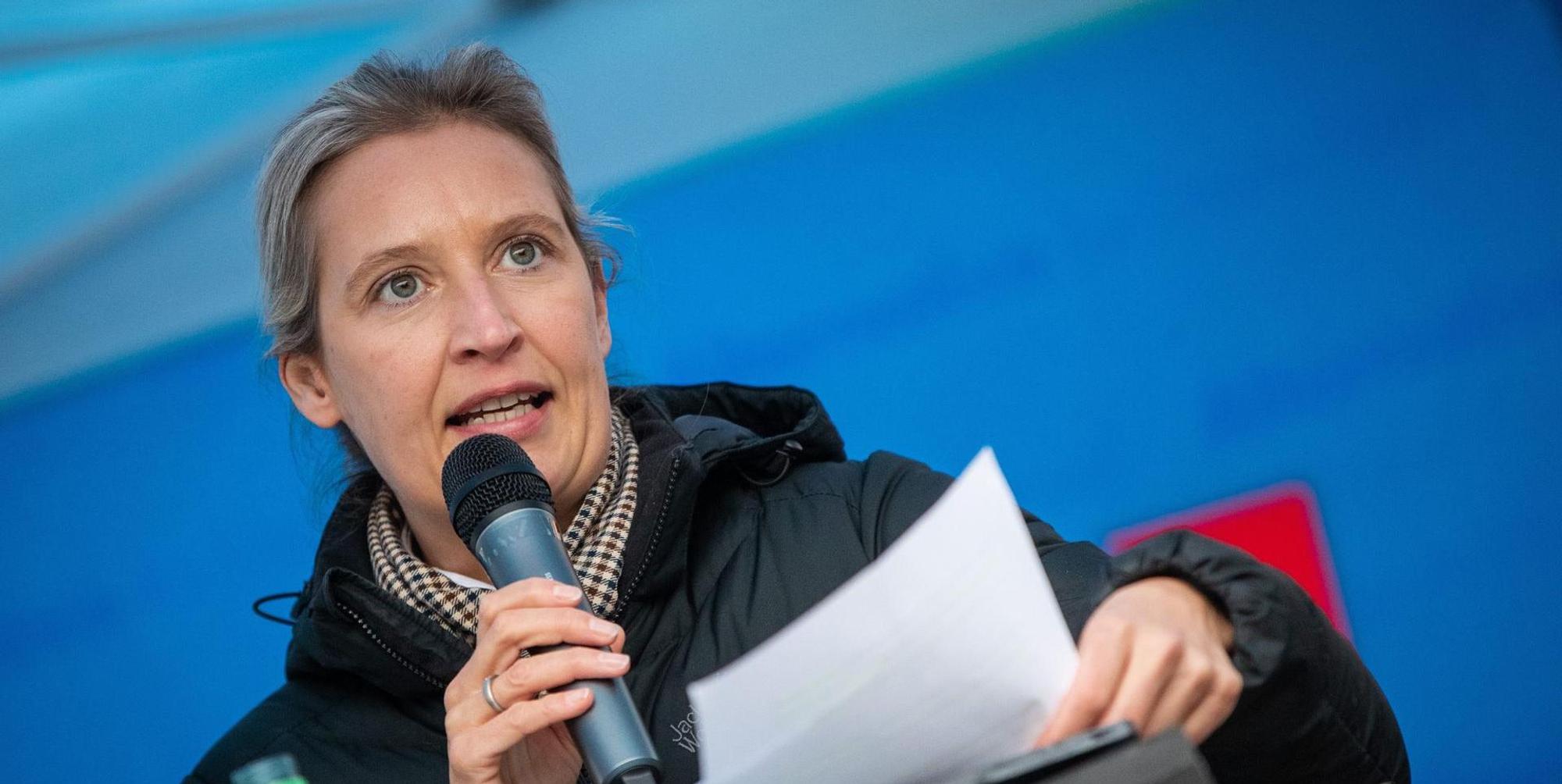 Weidel DPA 020122