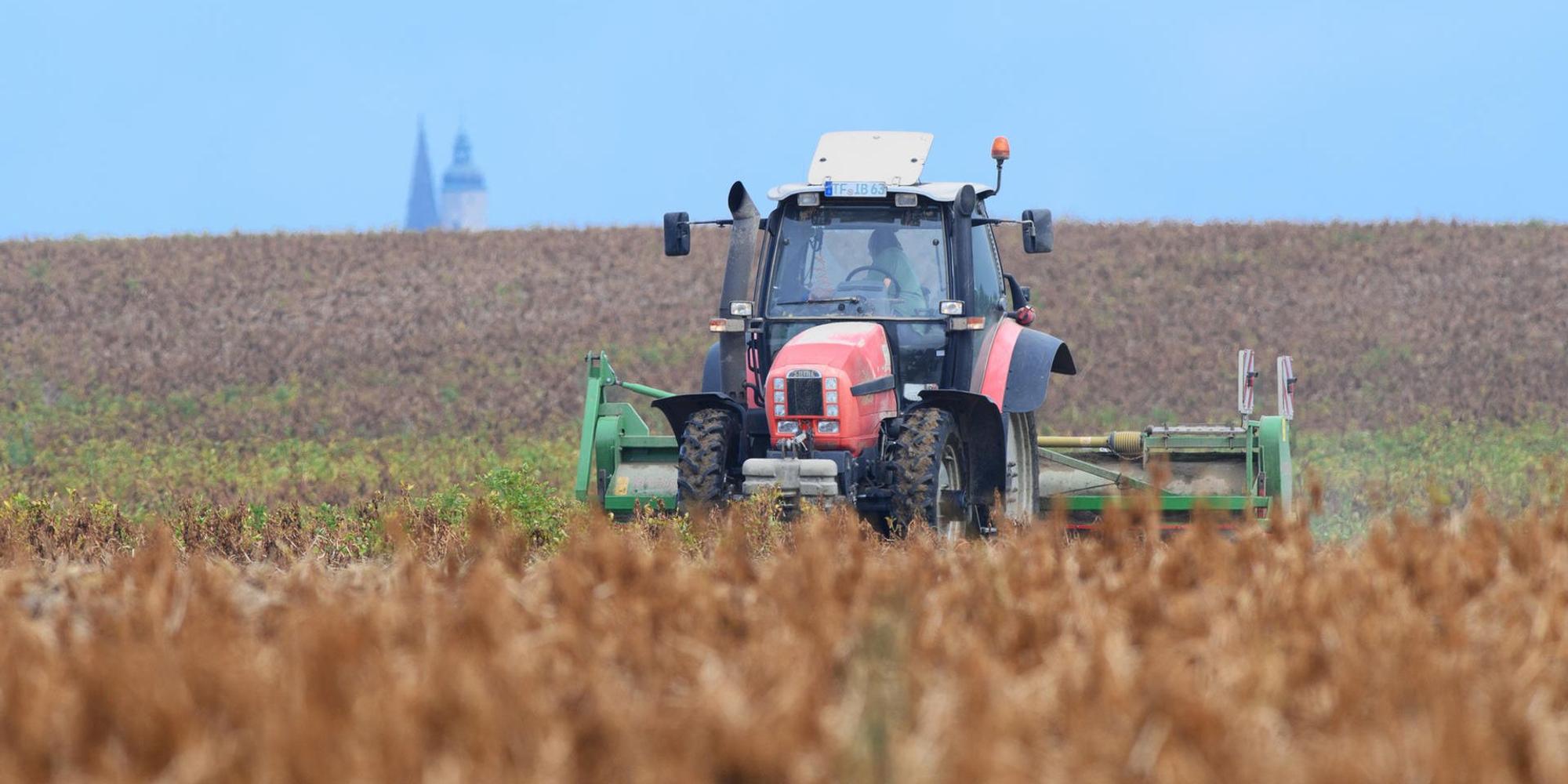 Bauer Feld dpa