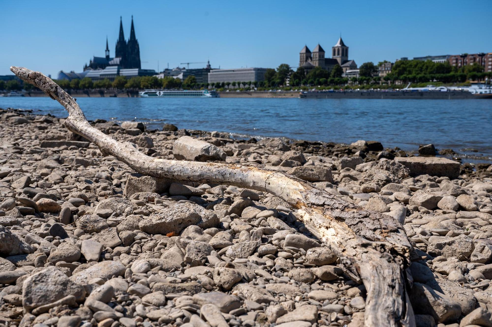 Niedrigwasser Rhein 2