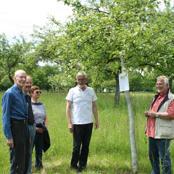 Obstwiesenfest Eitorf