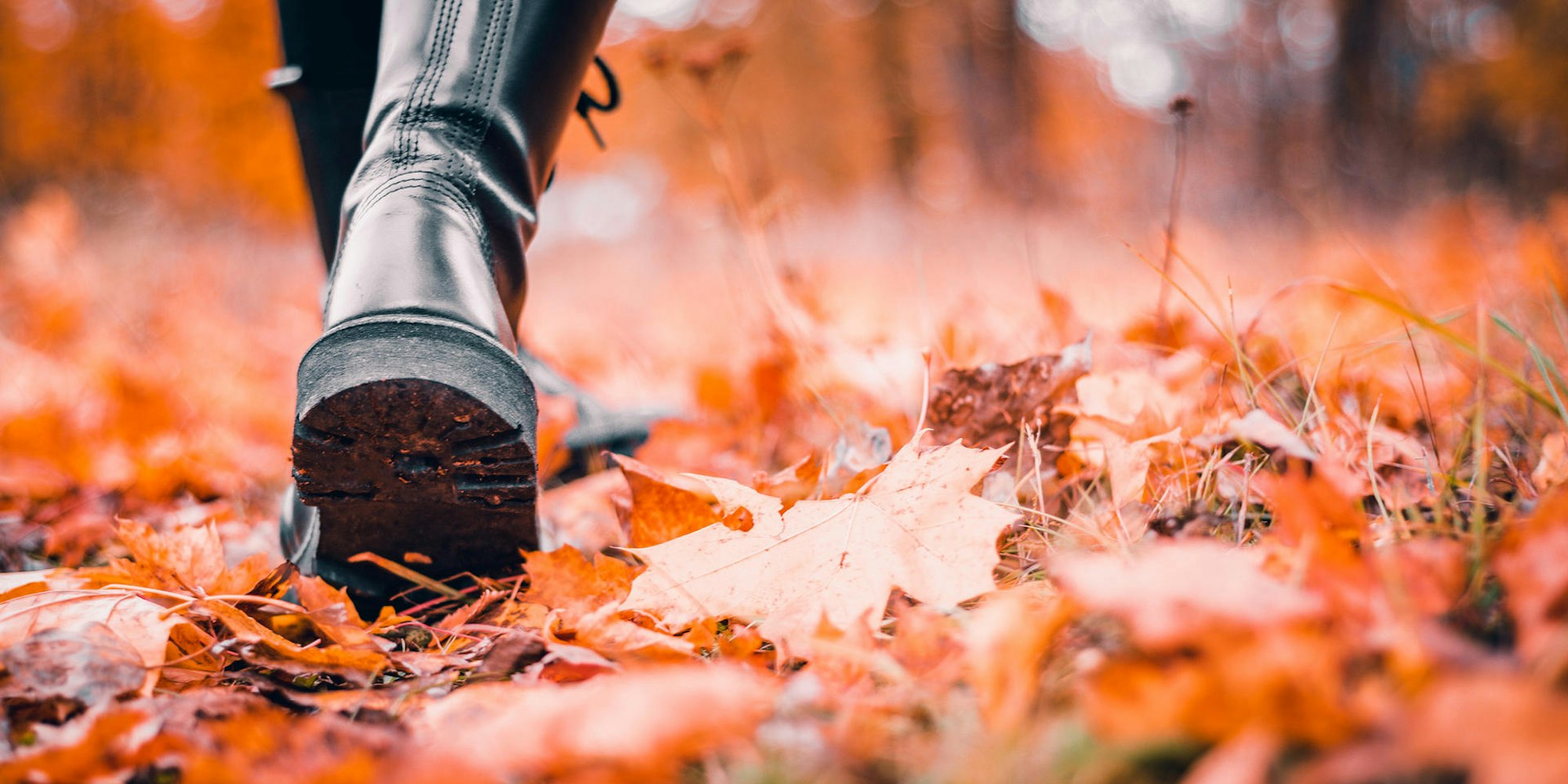 GettyImages-1250233668