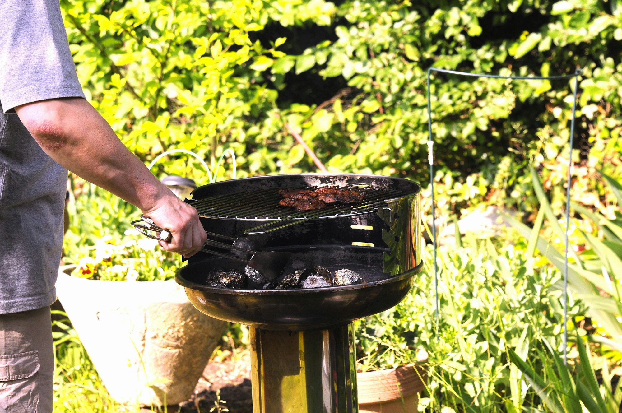 GrillenimagoHorstGaluschka58064880h