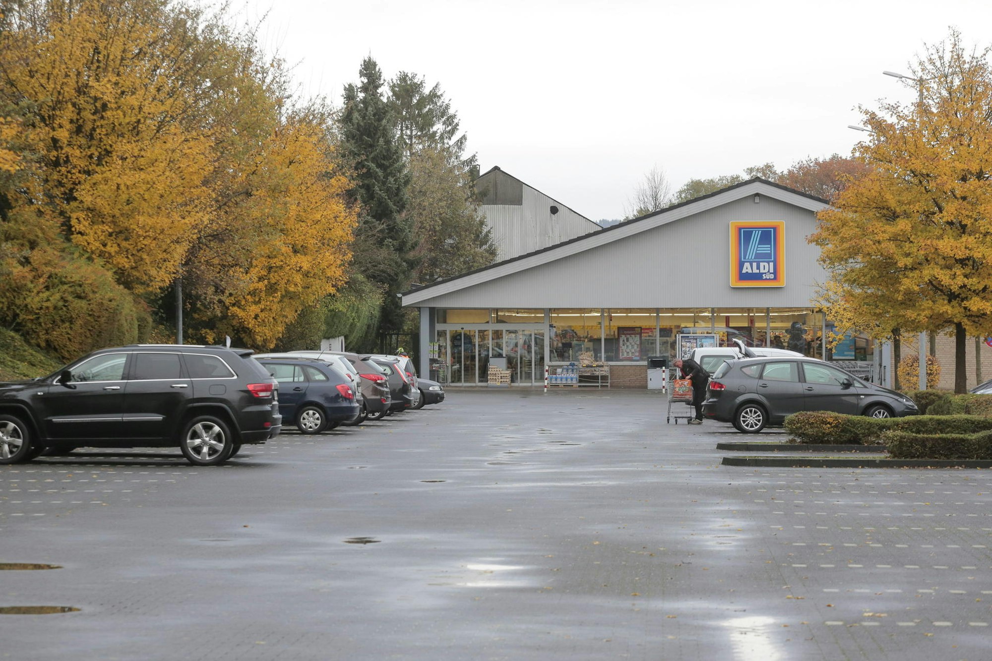 Aldi -Lindlar