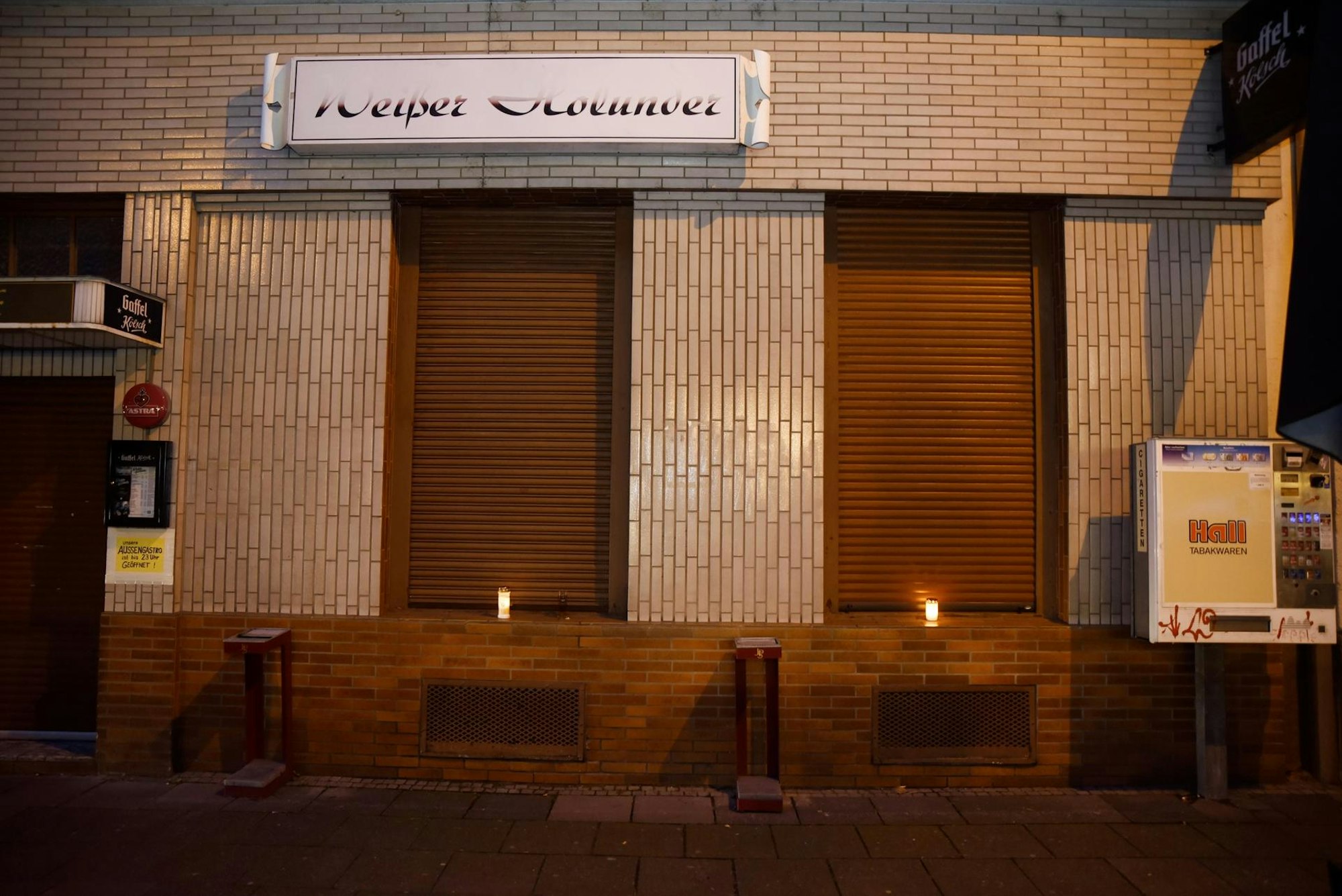 Weißer Holunder Köln