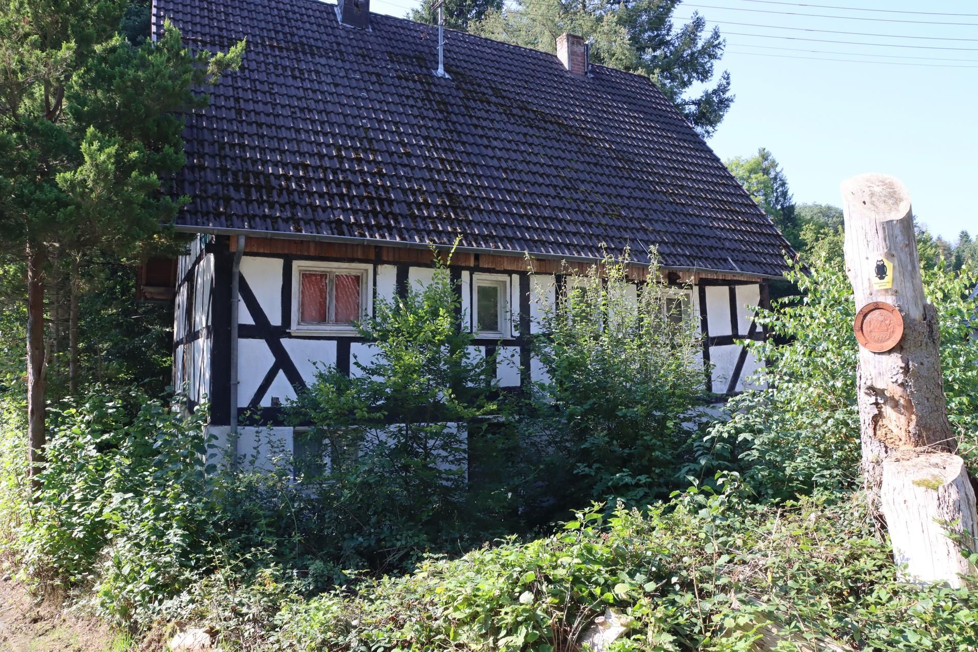 Neuer Inhalt