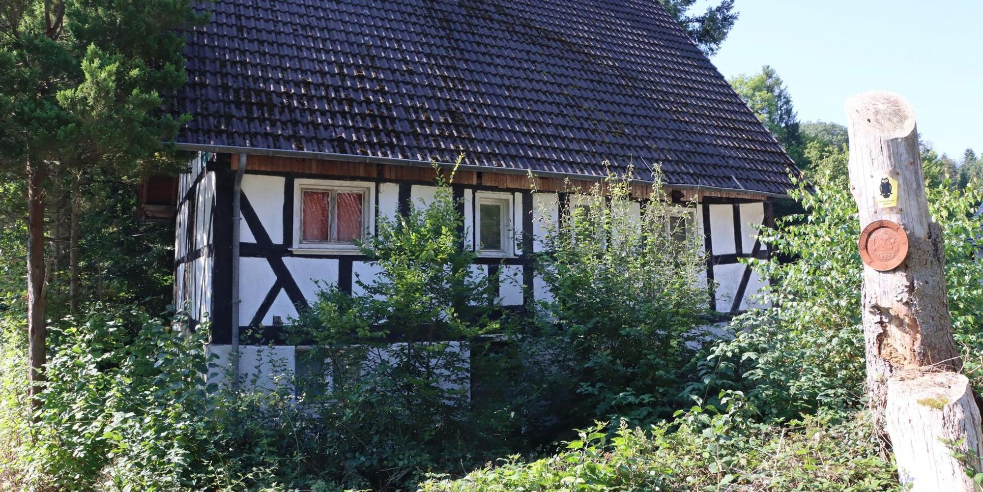 Neuer Inhalt