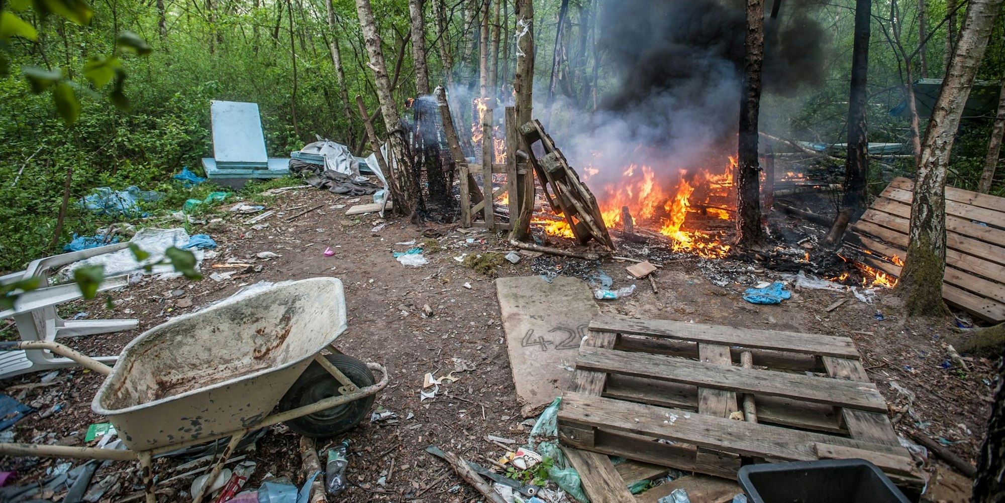 feuer-im-wald_rar_rle_04292022ALF_5896