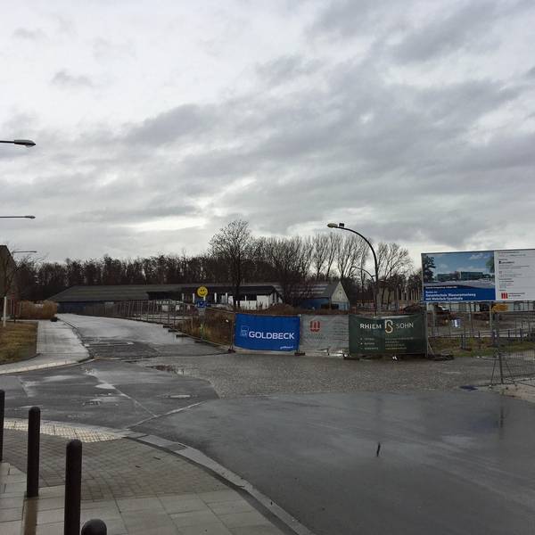 roes-wasseramselweg-schule-014 (1)