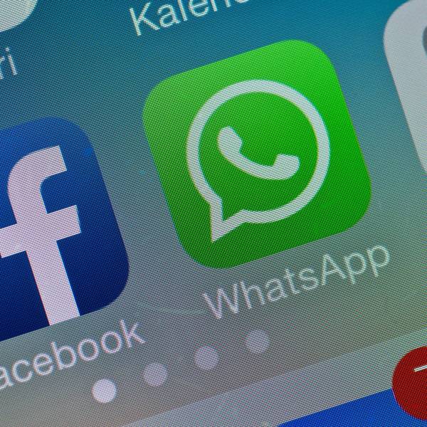 Whatsapp Display