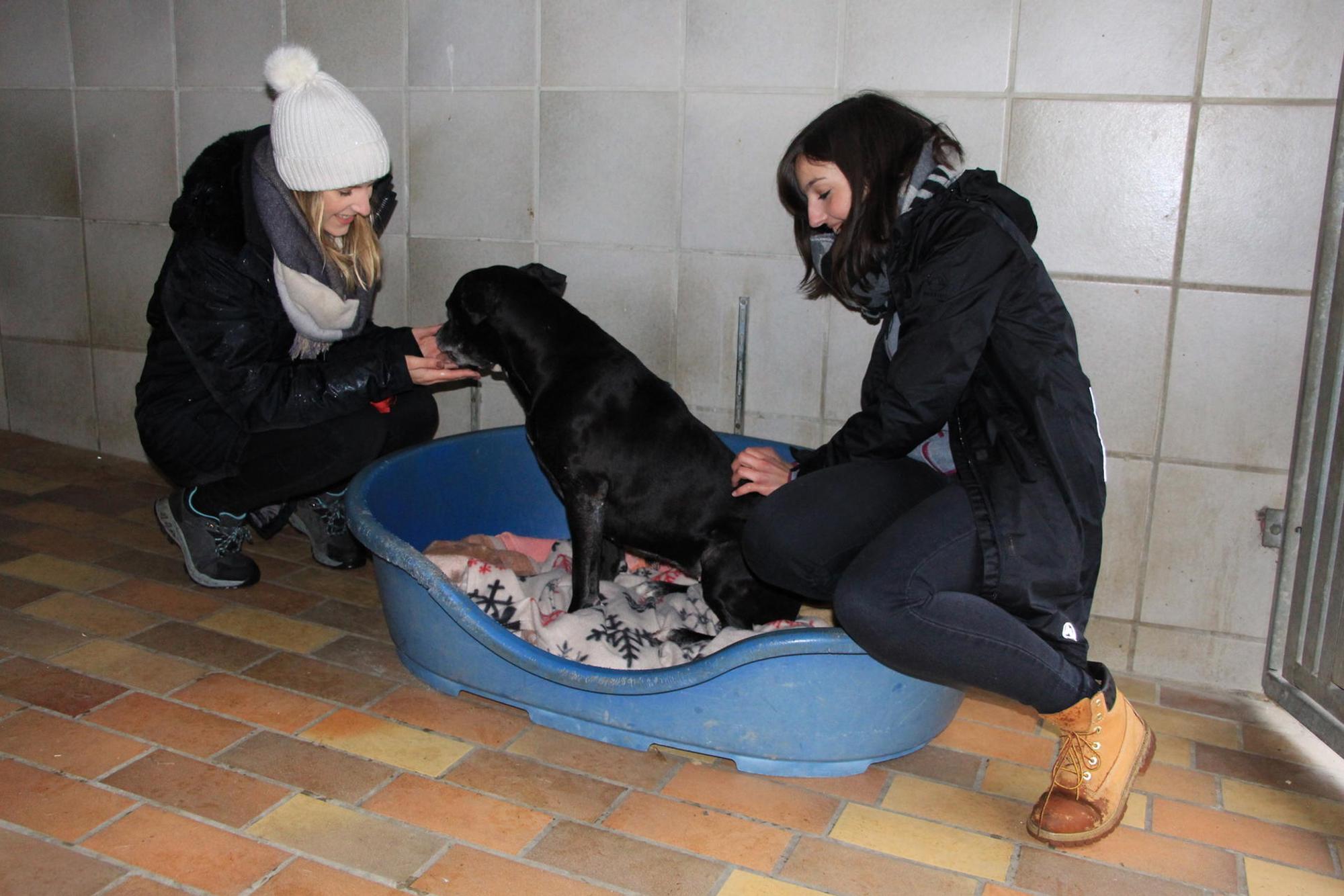 Gassigängerinnen_Tierheim_Troisdorf2