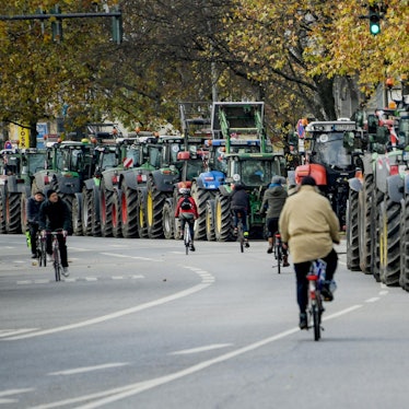 Traktor Proteste DPA 221119
