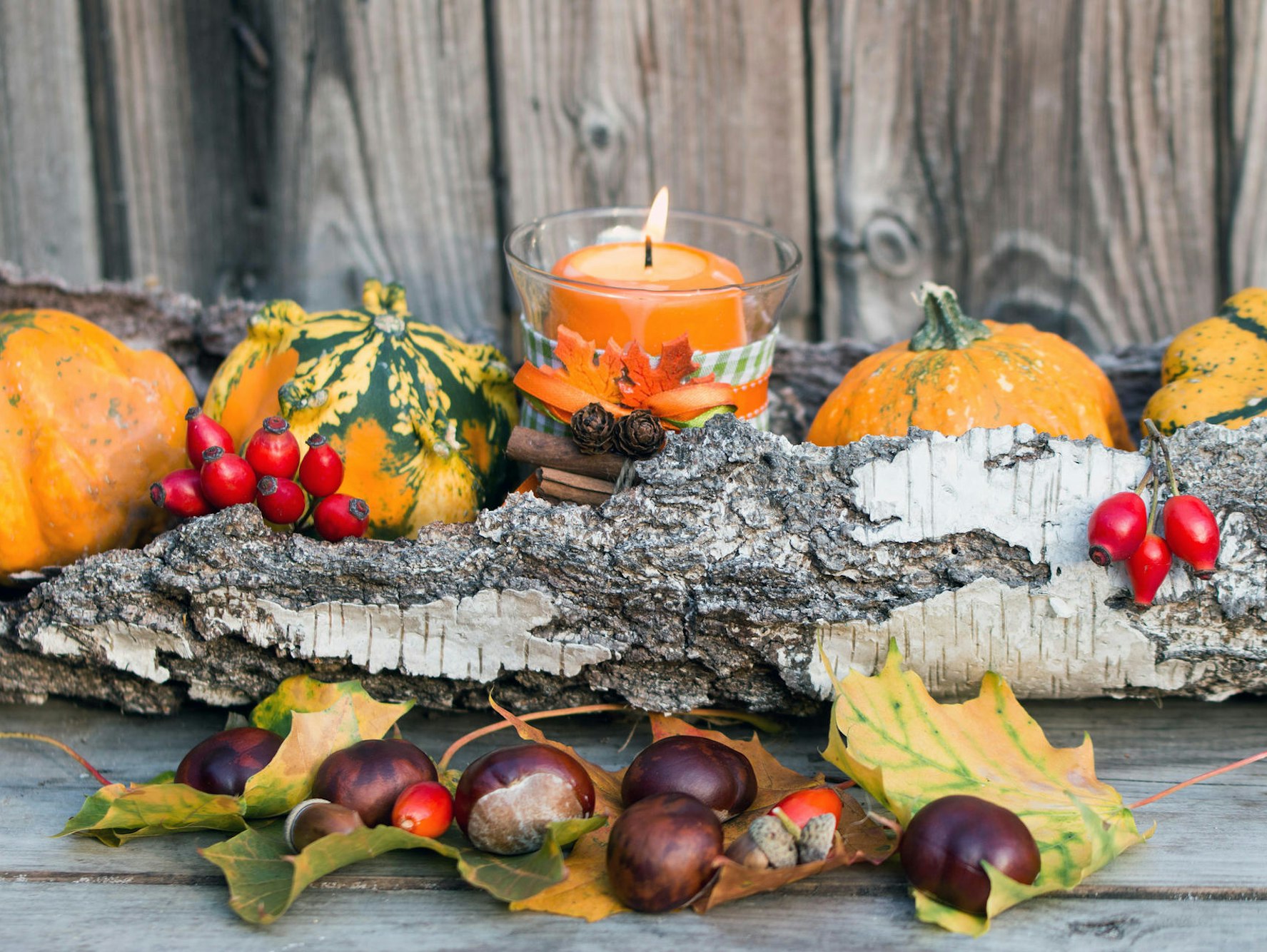 AdobeStock_121850555